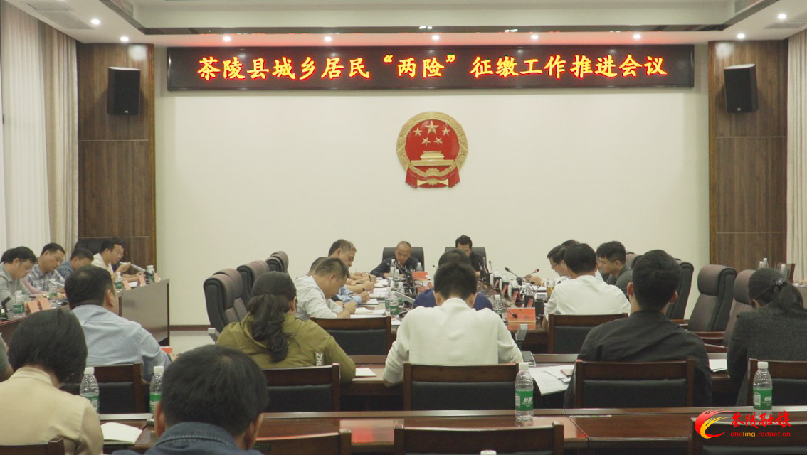 杨红兵主持召开城乡居民“两险”征缴工作推进会