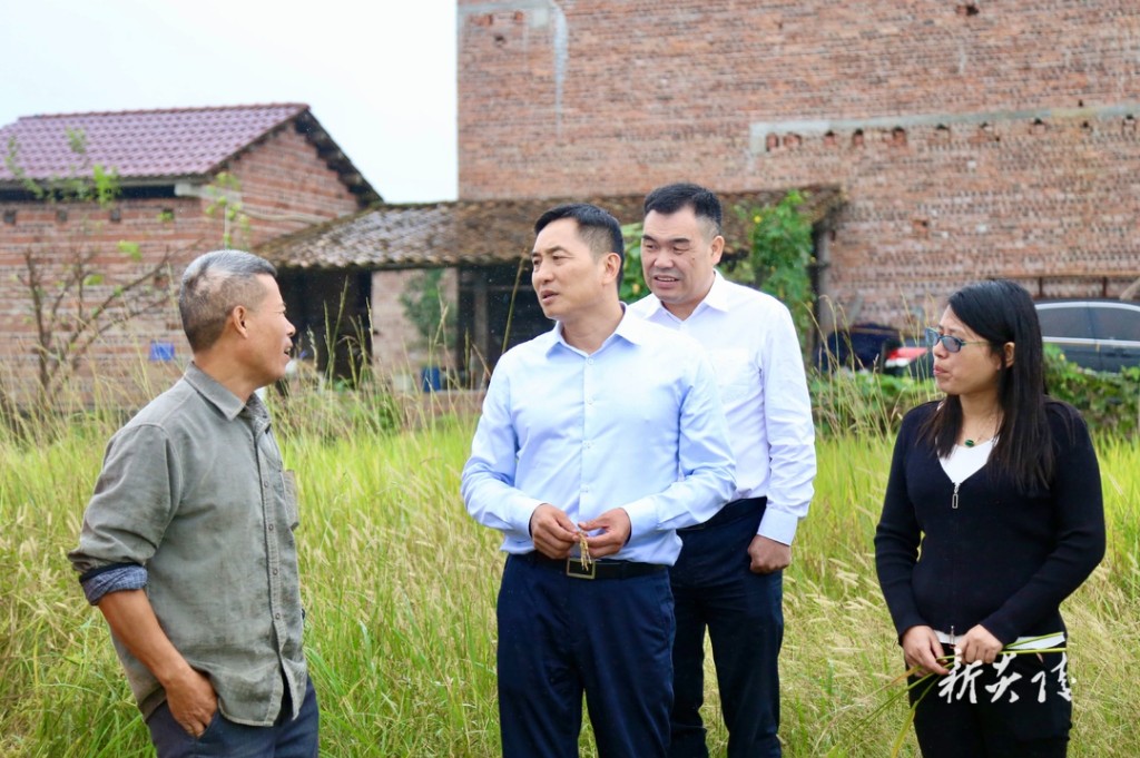 尹朝晖在霞阳镇调研粮食安全和“数字乡村”建设等工作