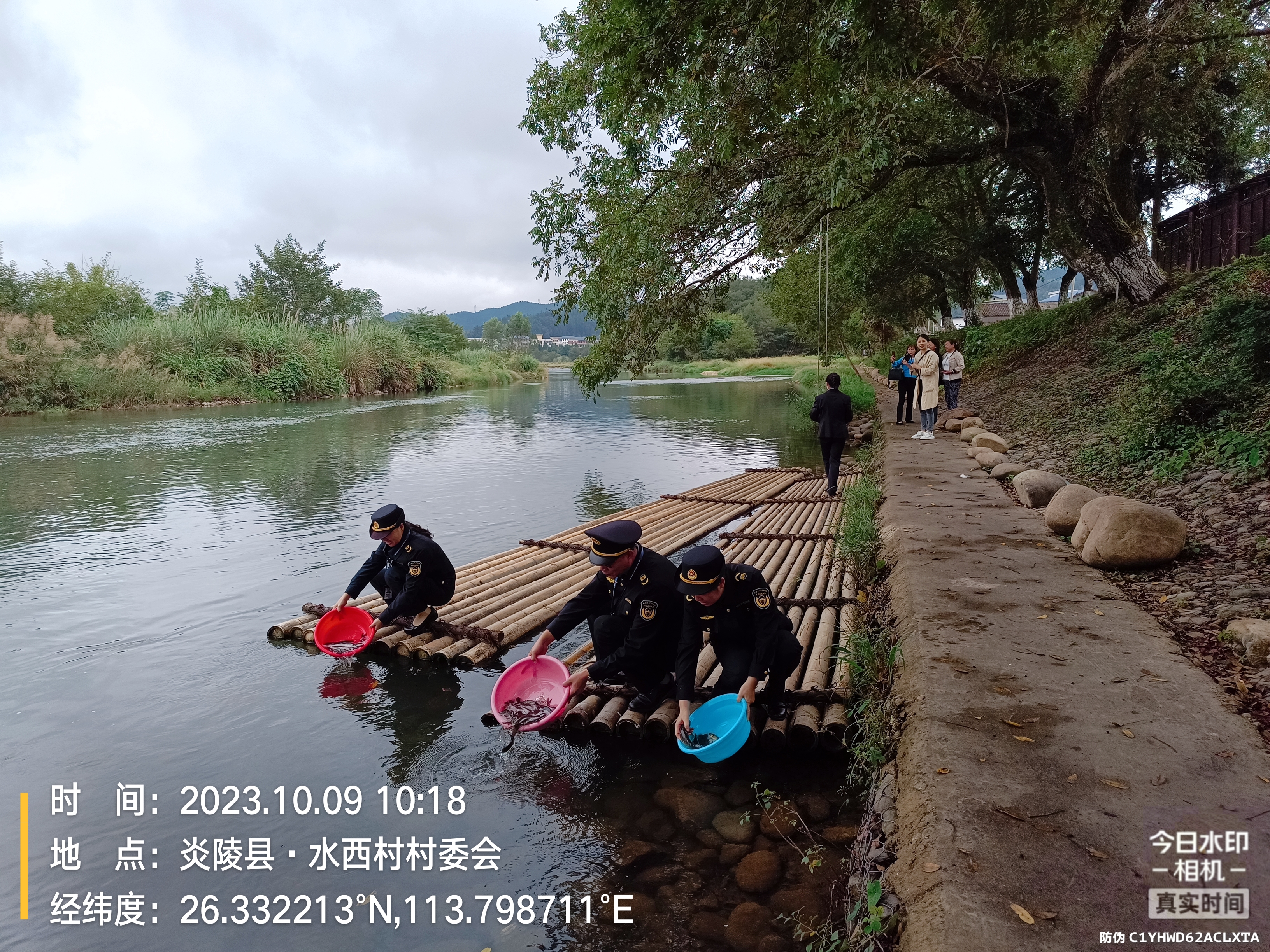 炎陵县多点位生态放流加强水生态环境改善