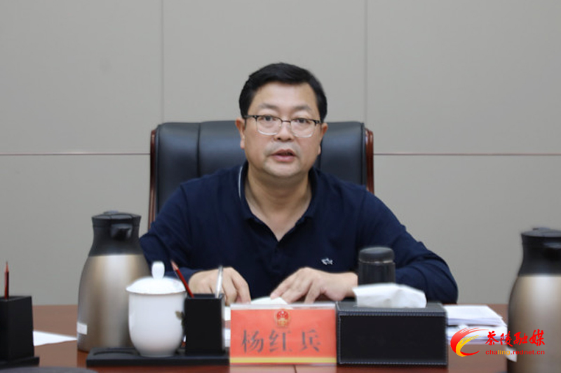 杨红兵调度财税收入工作