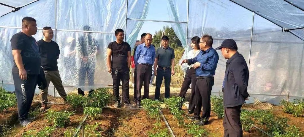 市乡村振兴科技专家团走进攸县 把实用技术送到田间和果园
