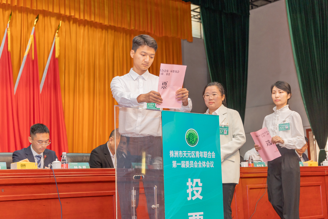 株洲市天元区青年联合会第一届委员会全体会议胜利召开