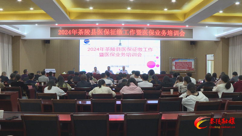 茶陵县召开2024年全县医保工作会暨医保业务培训会议