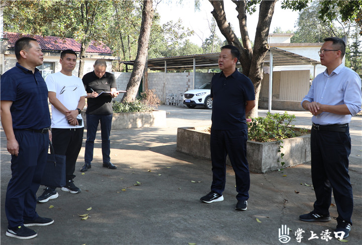 李晓彤调研乡村月子中心建设筹备情况