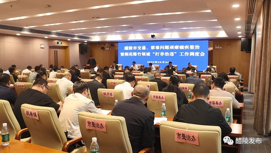 “搞好大执法，真正做到打疼打怕！”