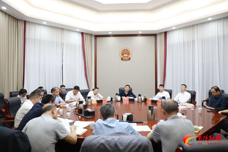 杨红兵调度财税收入工作