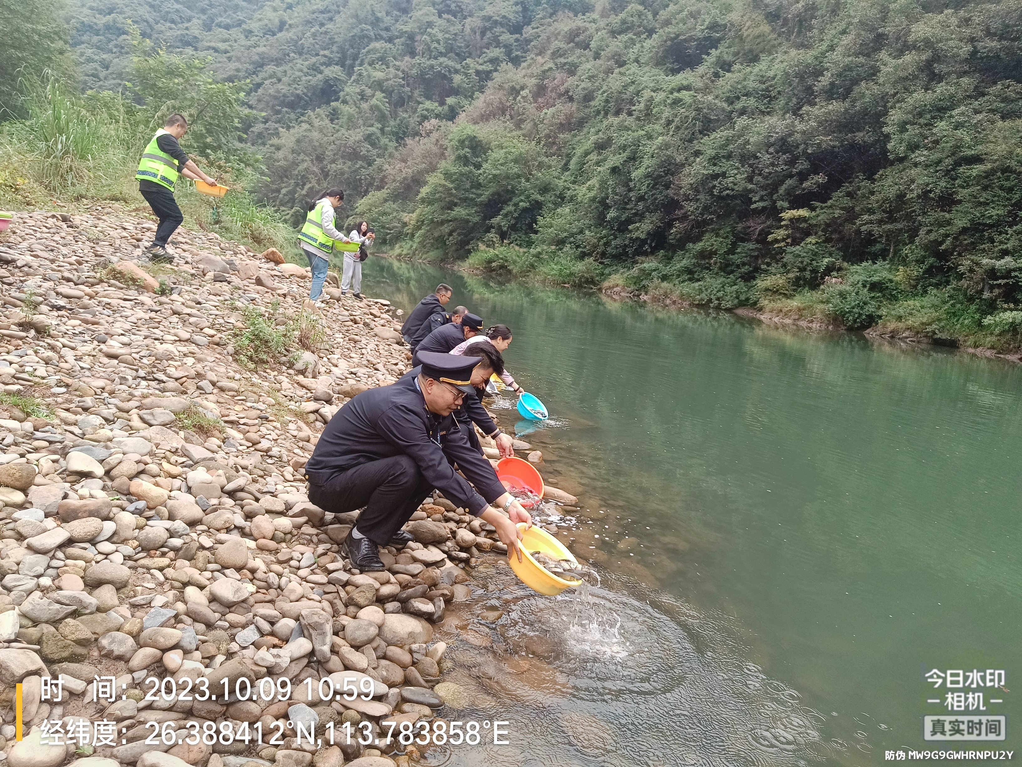 炎陵县多点位生态放流加强水生态环境改善