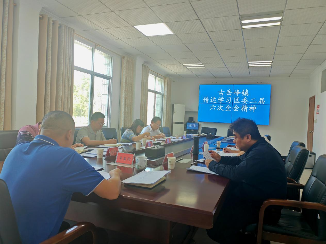 古岳峰镇传达学习区委二届六次全会精神