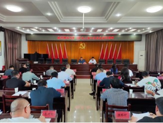 【作风建设年】南洲镇传达学习区委二届六次全会会议精神
