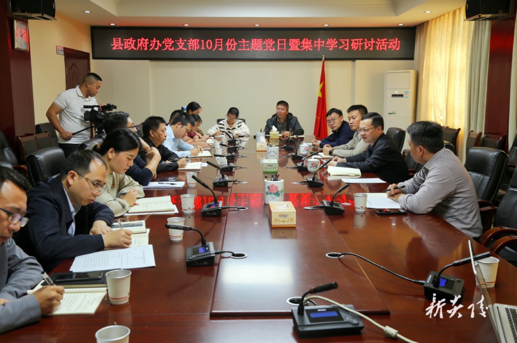 县政府办党支部开展10月份主题党日暨集中学习研讨活动 夏胜利参加