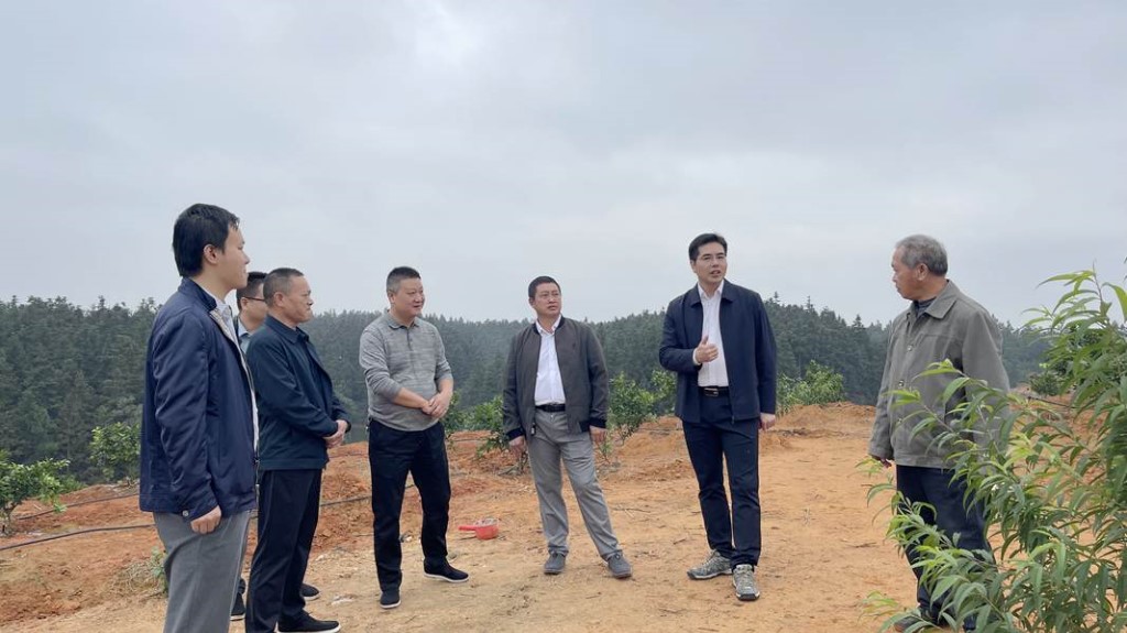 武挪强深入酒埠江镇调研乡村振兴及开展巡田工作