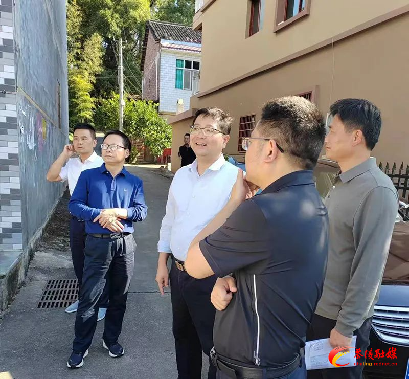 杨红兵深入湖口镇调研乡村振兴、“五经普”等工作