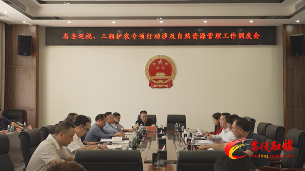 省委巡视、三湘护农专项行动涉及自然资源管理工作调度会议召开