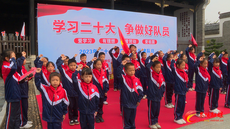 茶陵县举行2023年“十一三”主题少先队日活动