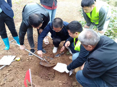 挖出“第一铲土”！芦淞区第三次全国土壤普查外业调查采样在华兴村完成首采