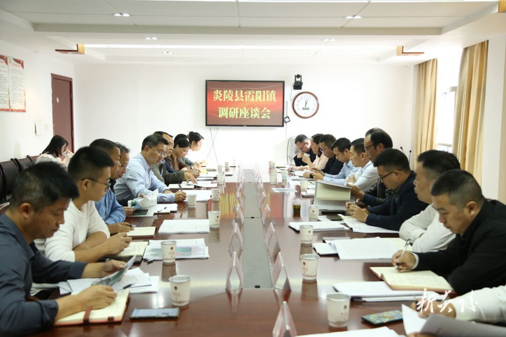 尹朝晖在霞阳镇调研粮食安全和“数字乡村”建设等工作