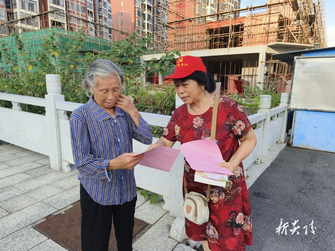 霞阳镇：城乡居保惠民生 政策宣传强保障