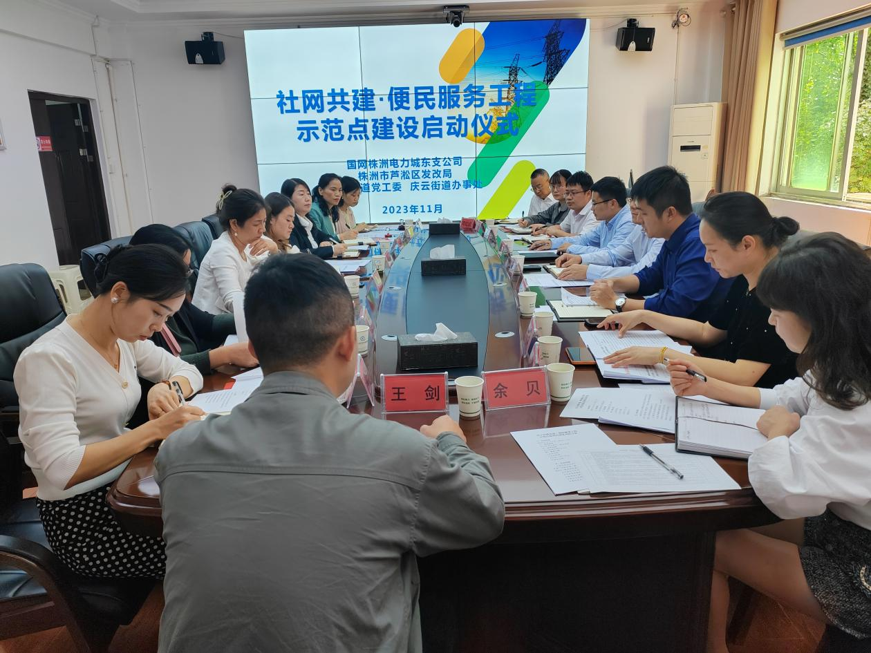 芦淞区召开社网共建·便民服务工程示范点建设启动仪式