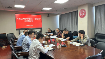 芦淞区召开耕地“非农化”“非粮化”工作推进会