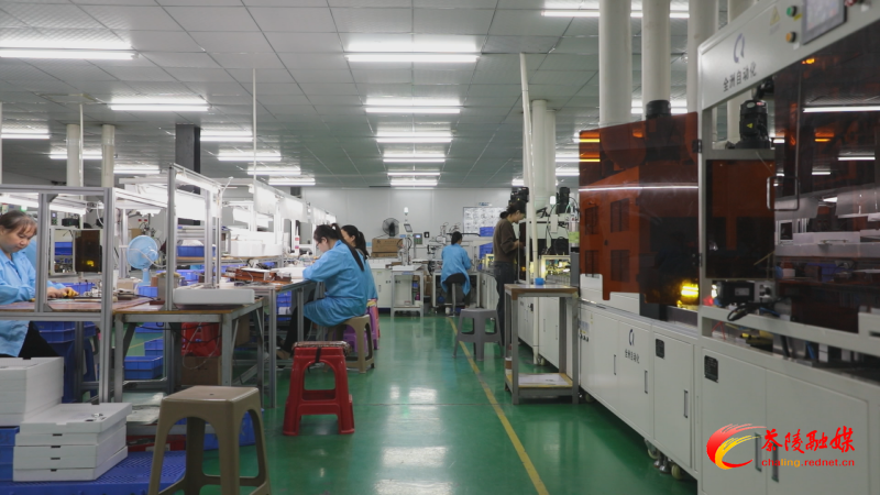 茶陵：积极打造上市“后备军” 2家企业纳入省上市后备资源库