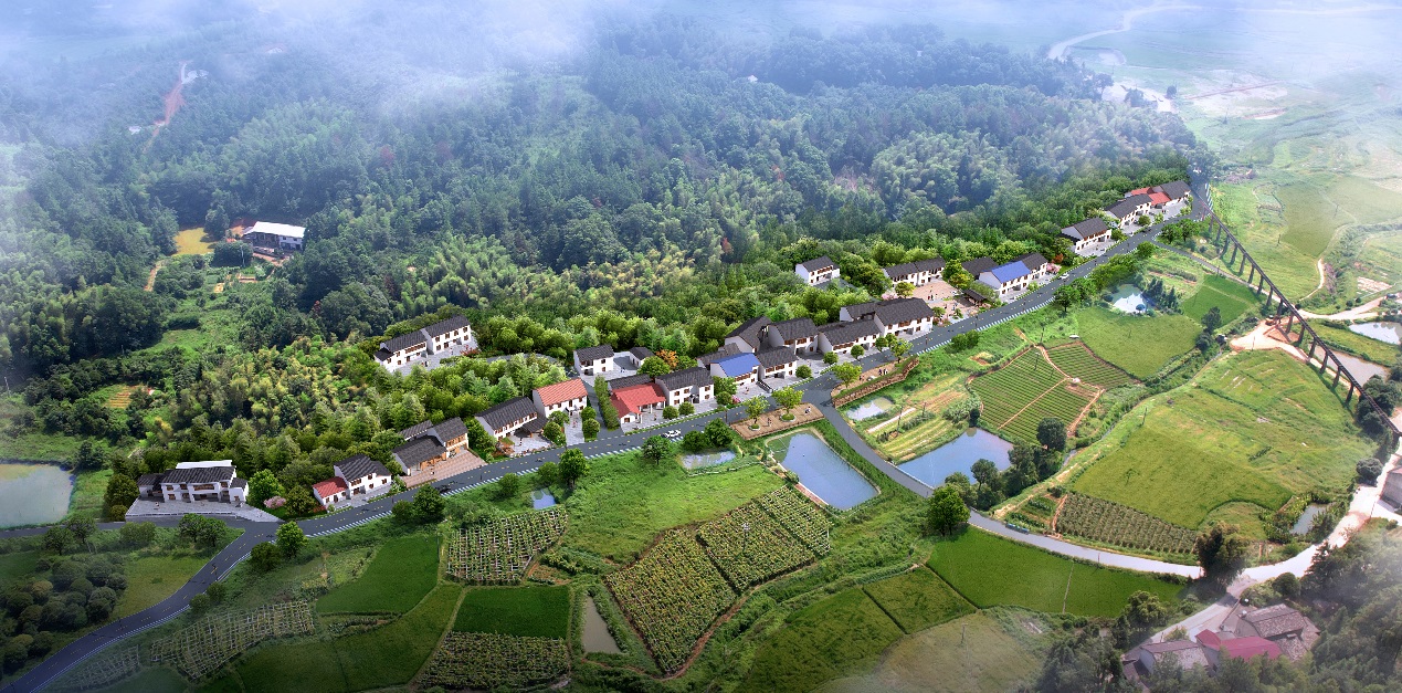 一等奖！龙凤庵村村庄规划获全省优秀国土空间规划案例