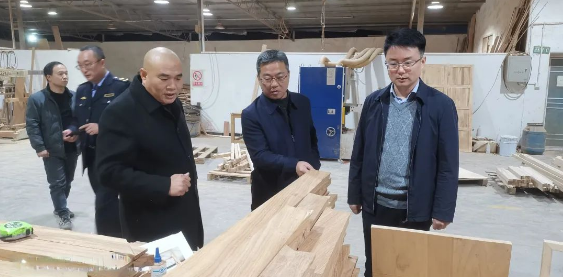 株洲市市林业局开展安全生产工作检查