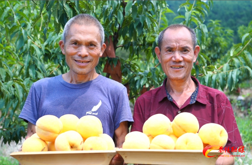 茶陵： “三社合一”融合发展 助力助推乡村振兴