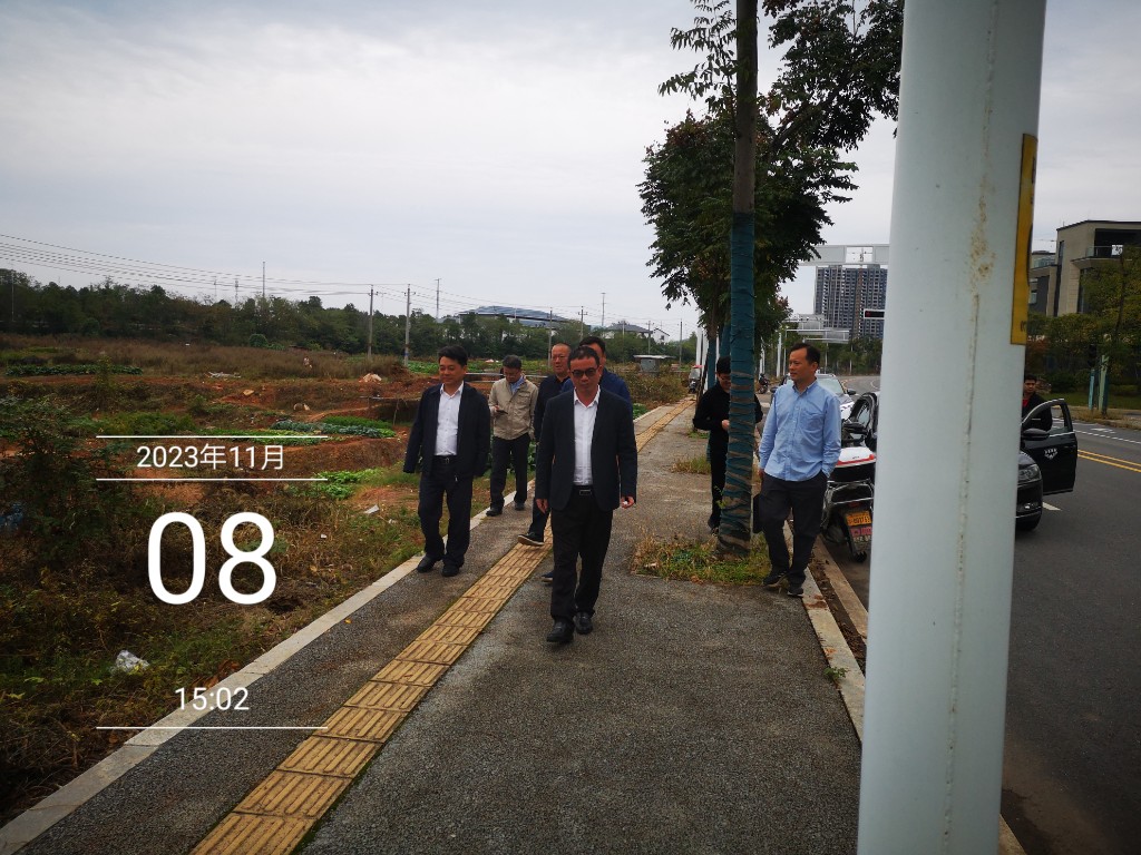 石峰区合力攻坚耕地“非农化”“非粮化”问题专项整治工作