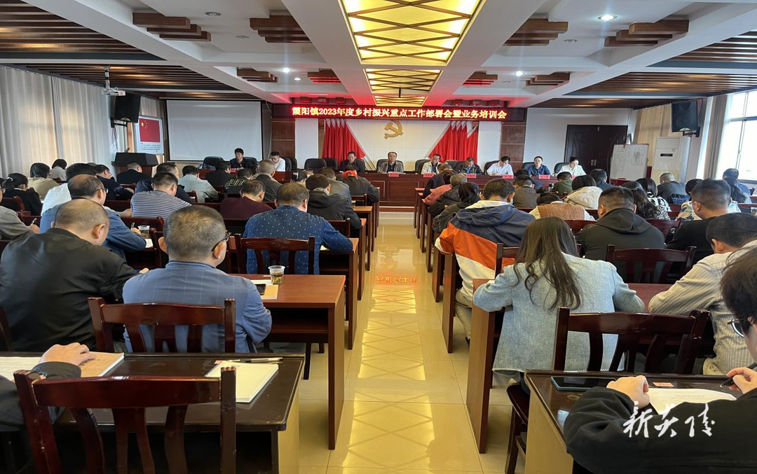 霞阳镇召开乡村振兴重点工作推进会暨业务培训会