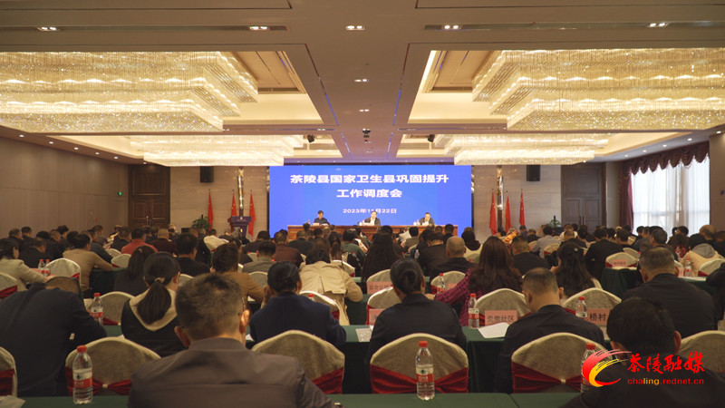 杨红兵调度推进国家卫生县巩固提升工作