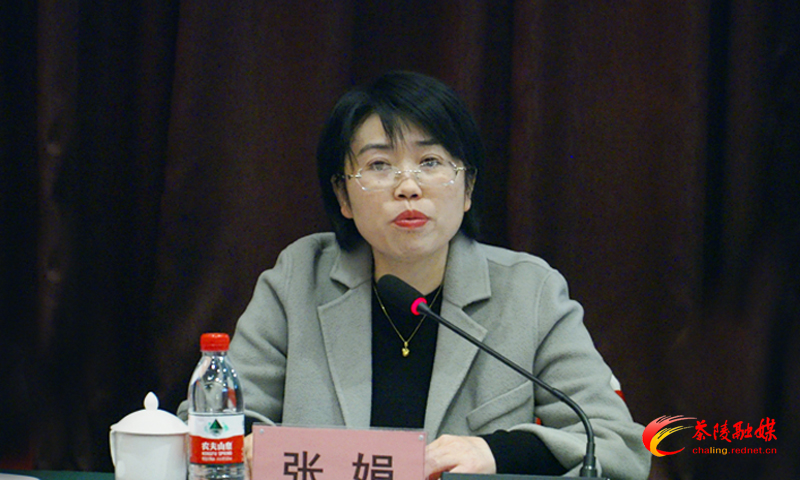 茶陵县国家卫生县城复审现场评估见面会召开