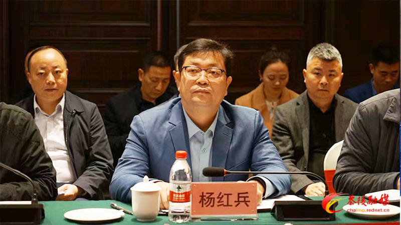 茶陵县国家卫生县城复审现场评估见面会召开