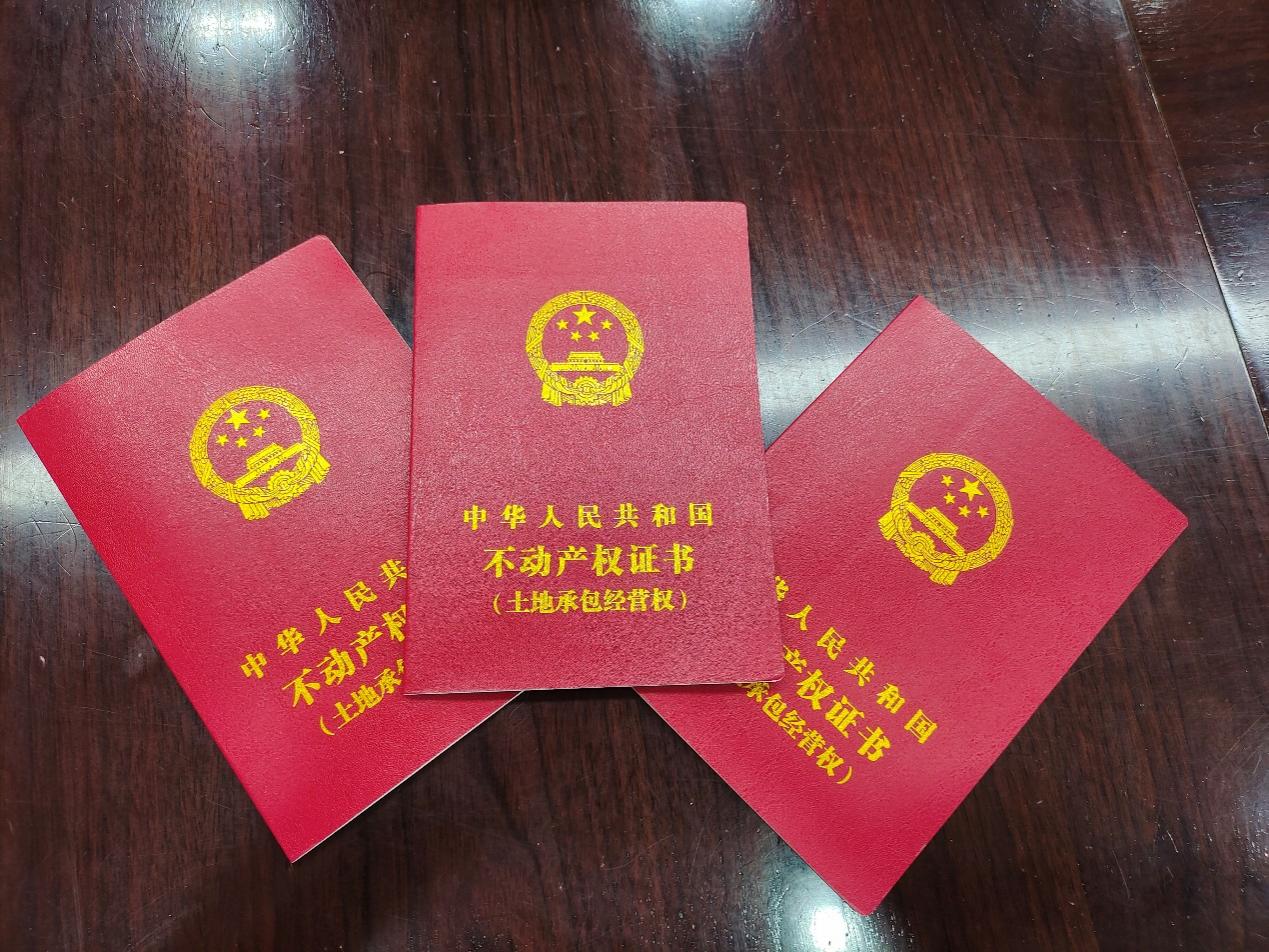 株洲市土地承包经营权不动产权证书首证颁发