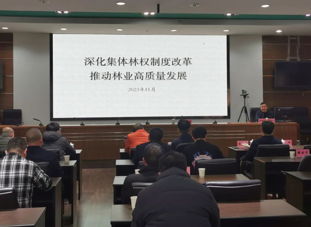 市林业局召开全市集体林权制度改革暨行政执法培训会议