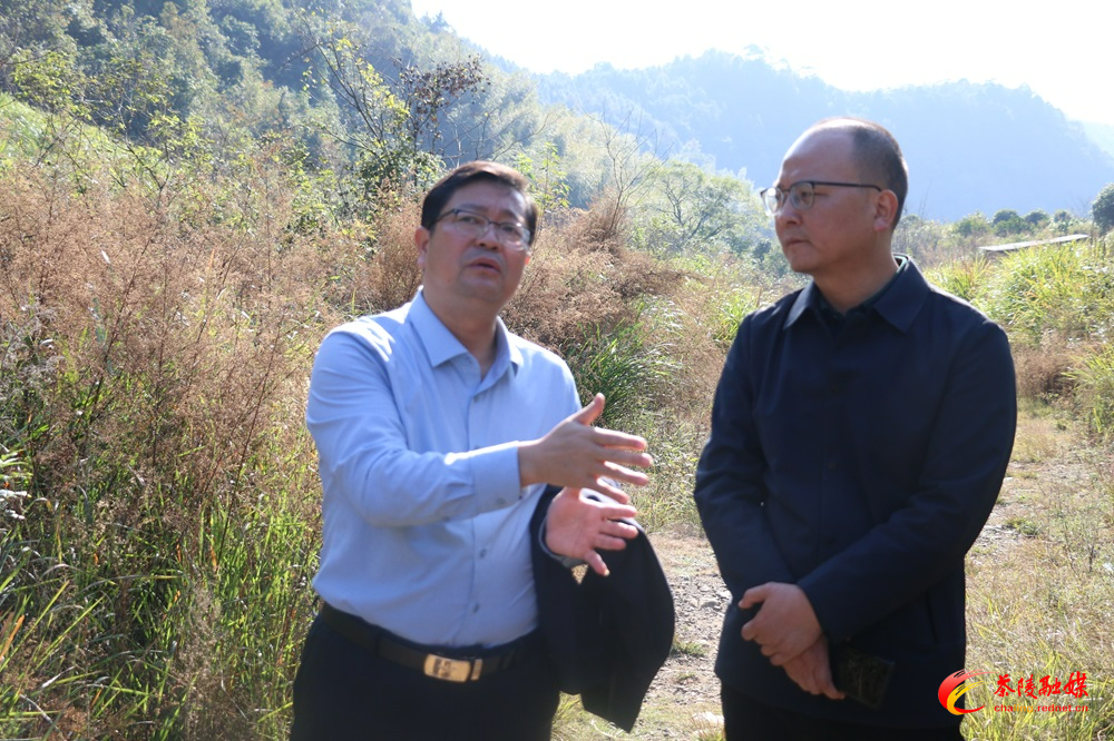 杨红兵到思聪街道调研督导工作
