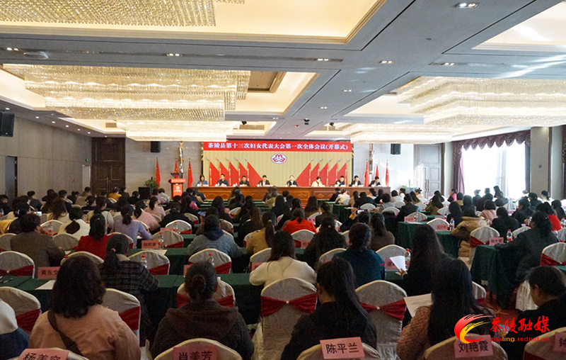 茶陵县第十三次妇女代表大会召开