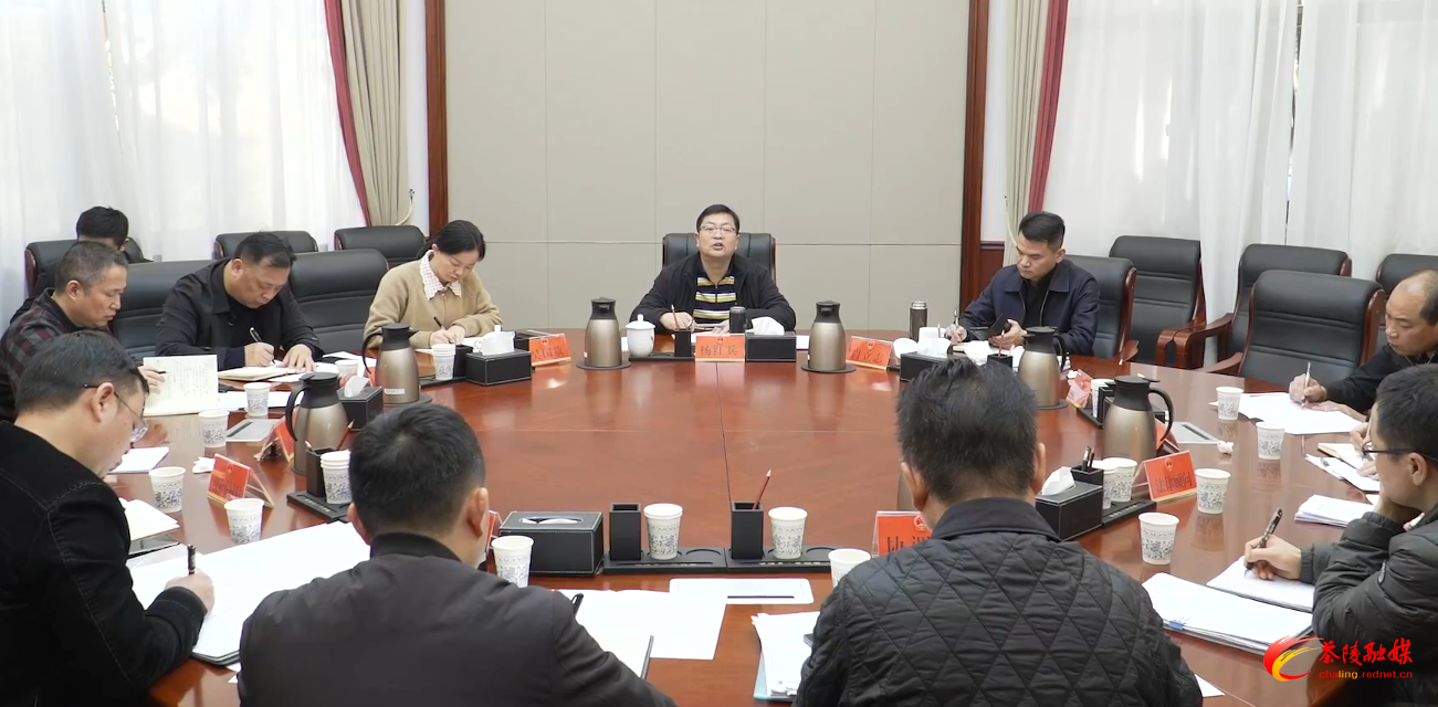 杨红兵主持召开项目调度会