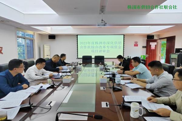 市供销社召开2023年度深化供销社 综合改革专项资金项目评审会