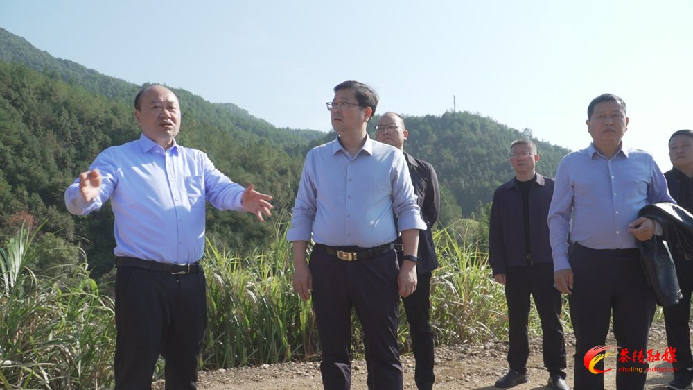 杨红兵到思聪街道调研督导工作