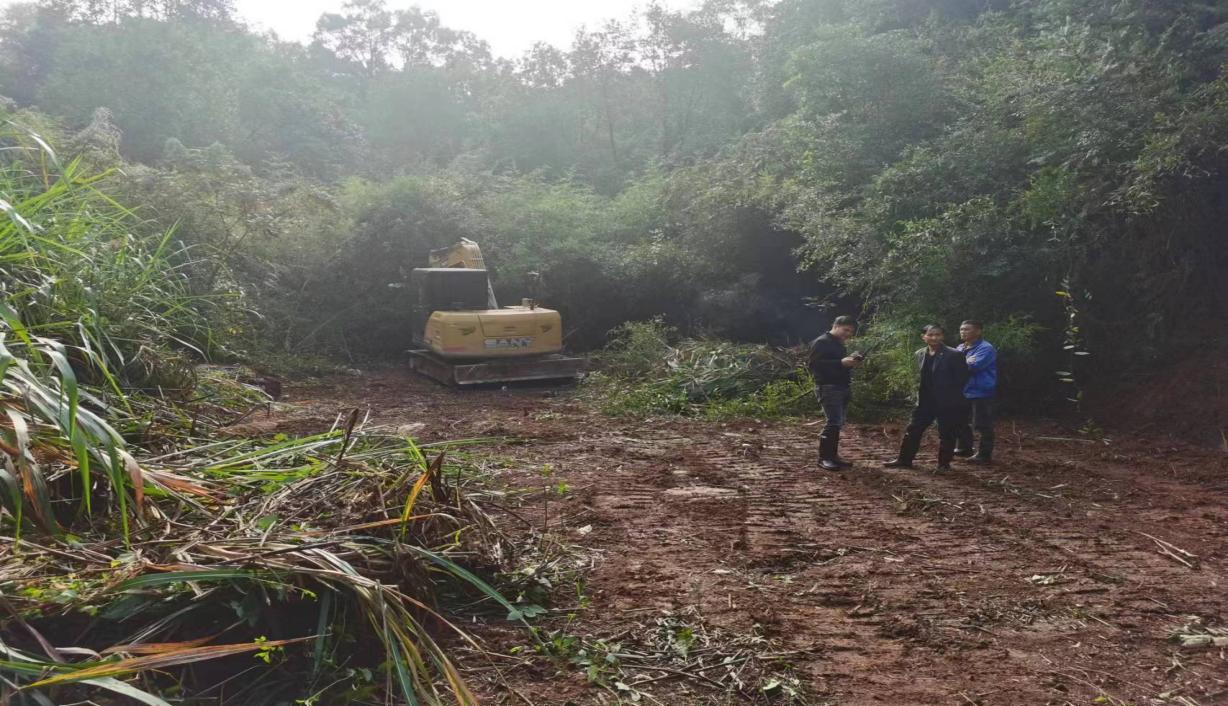 新市镇：高效推进耕地恢复，守好耕地保护红线