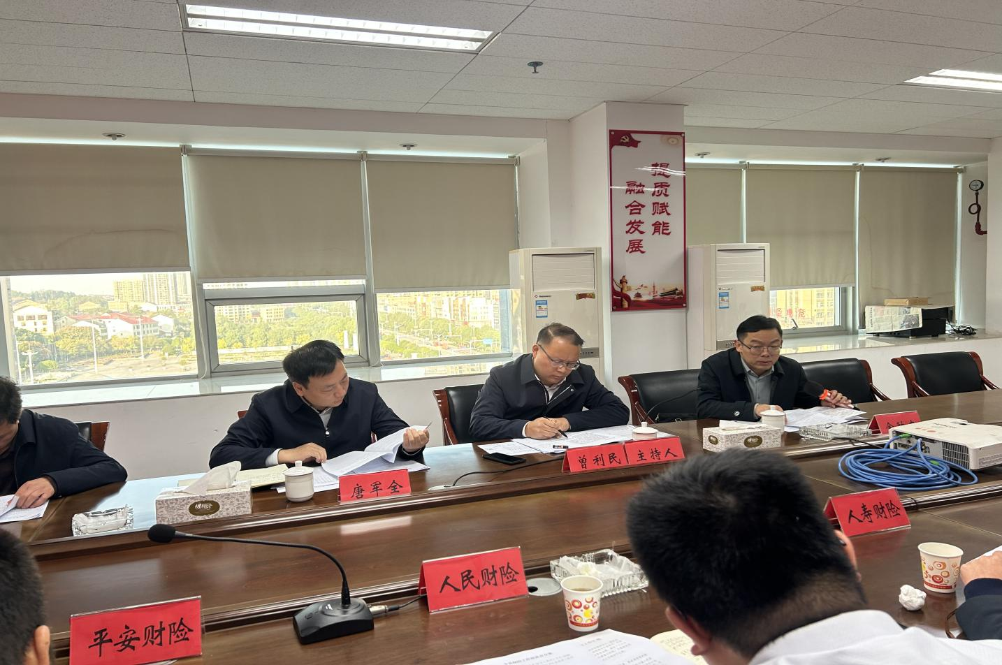 攸县召开全县保险业座谈会