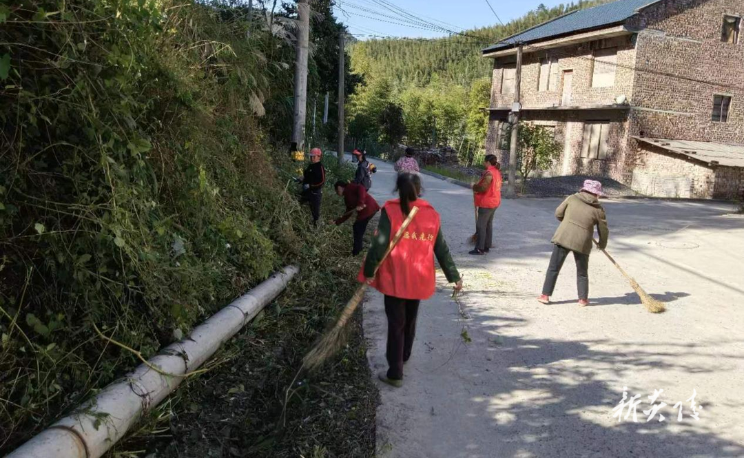 沔渡镇：环境整治在行动 乡村面貌焕新颜