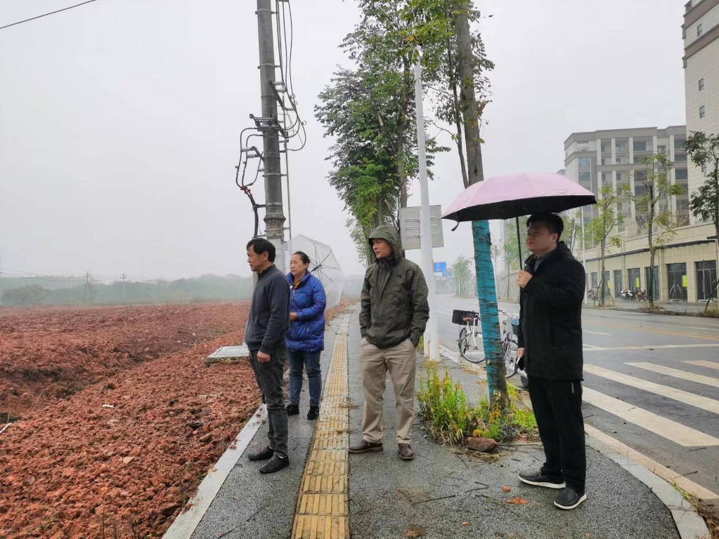 石峰区合力攻坚耕地“非农化”“非粮化”问题专项整治工作