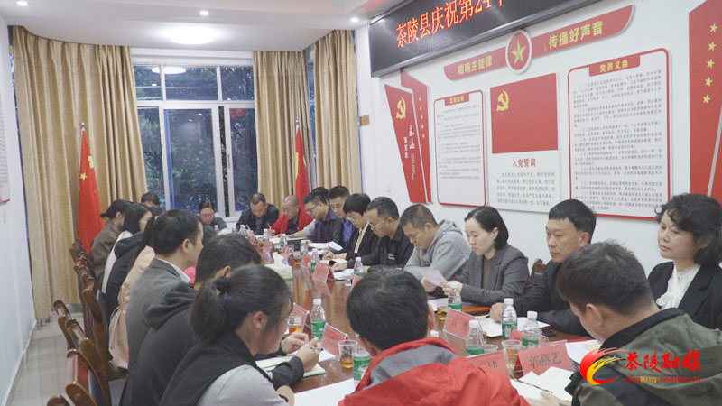 茶陵县召开庆祝第24个中国记者节座谈会