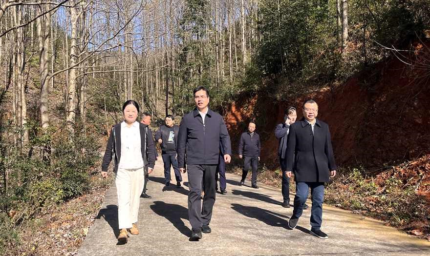 武挪强调研乡村振兴及开展巡林工作