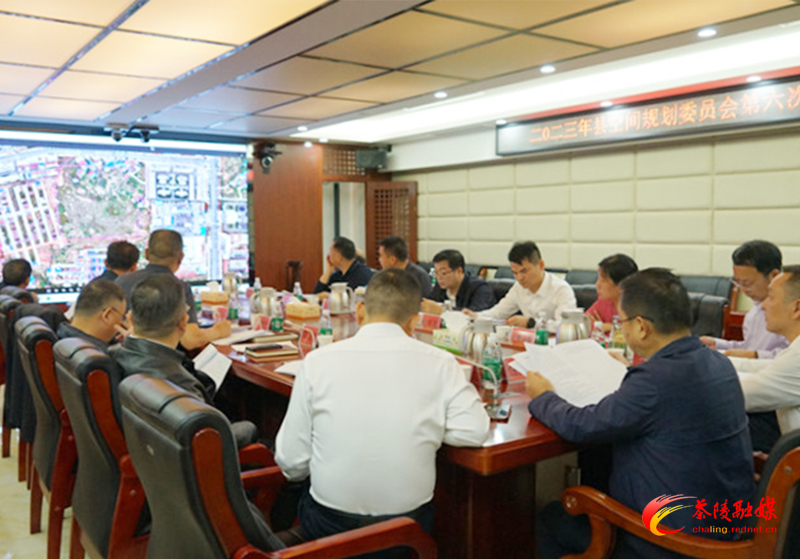 杨红兵主持召开2023年茶陵县空间规划委员会第六次专题会议