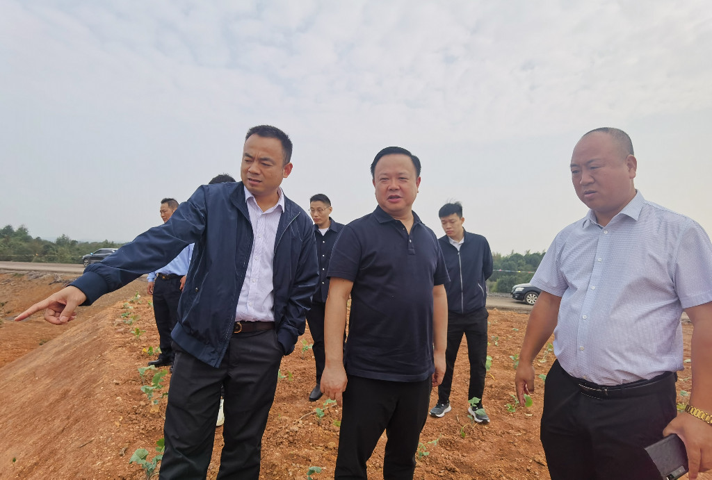 李晓彤到淦田镇、南洲镇调研高标准农田建设