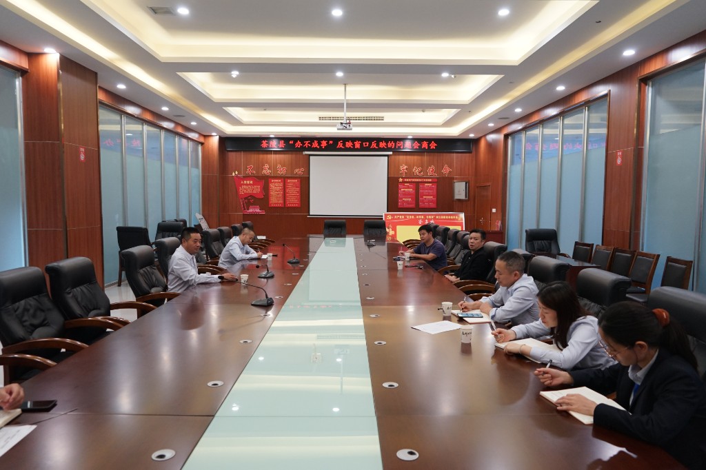 茶陵县建立“办不成事”反映窗口集中会商会诊机制，破解群众办事难题