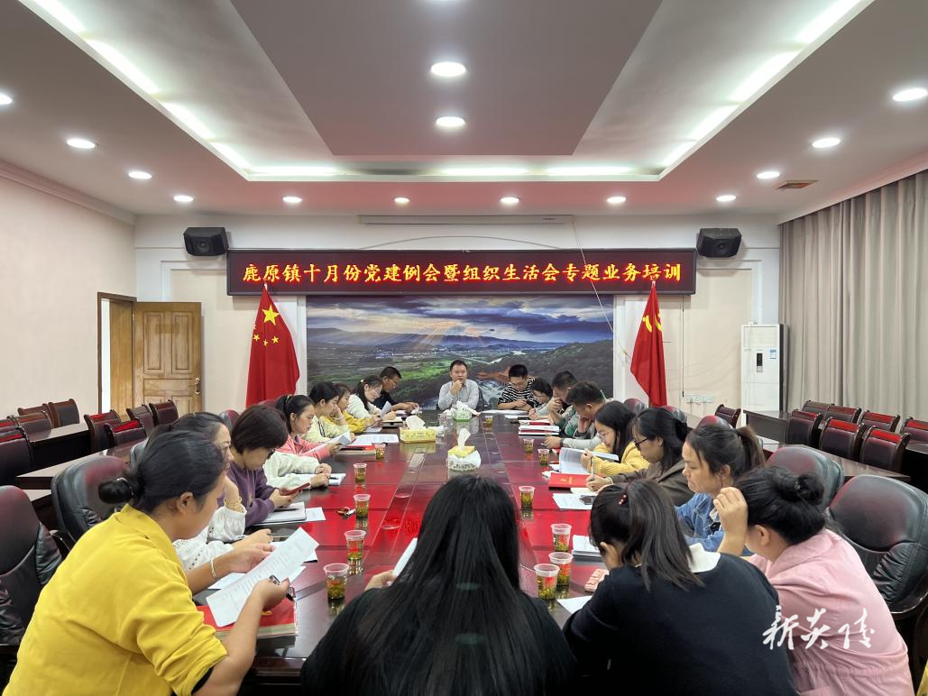 鹿原镇开展党建“一月一主题” 组织生活会专题业务培训