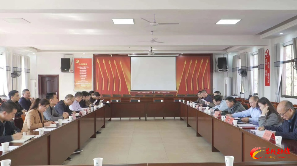 杨红兵到思聪街道调研督导工作